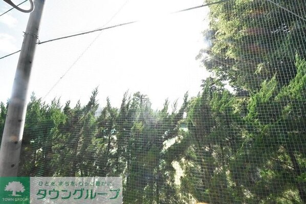 レオネクストコンセルトの物件内観写真